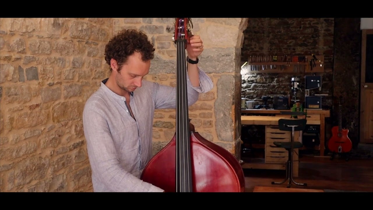 Wolf Travel Bass