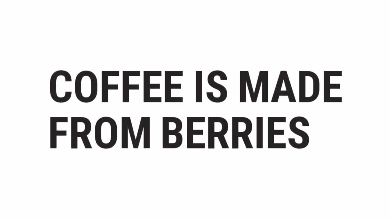 Coffee Is Made From Berries | True or False