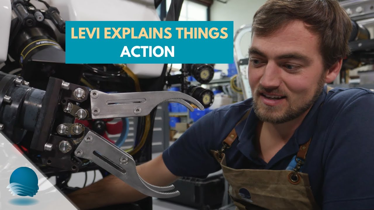 Levi Explains Things: Action