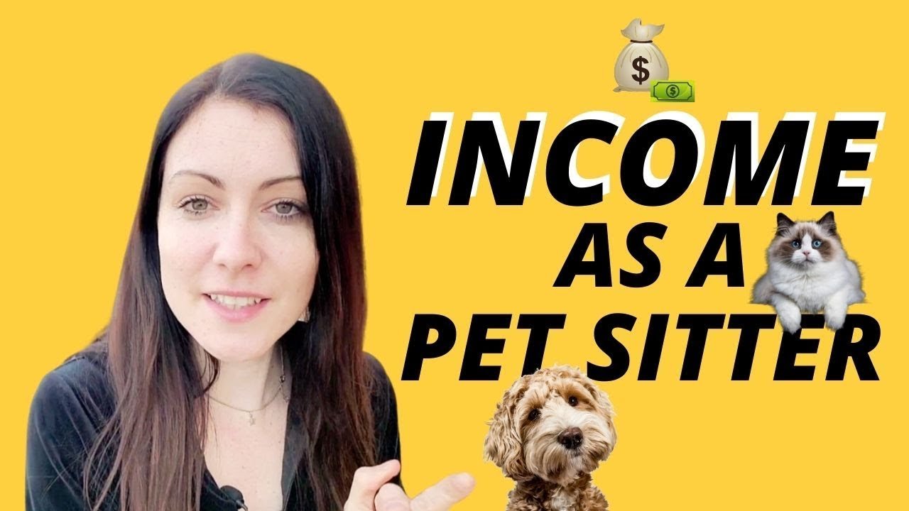 How Much Money Can You Make as Pet Sitter. Complete Income Breakdown!