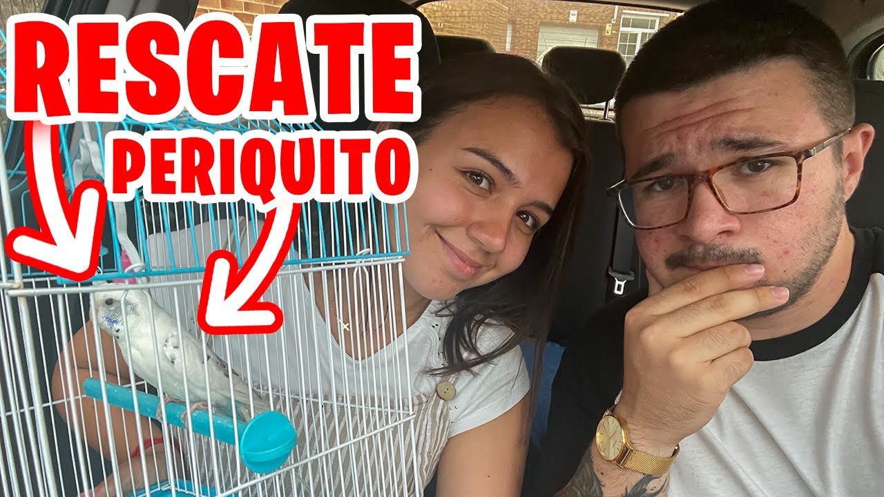 RESCATANDO UN PERIQUITO DE LA CALLE