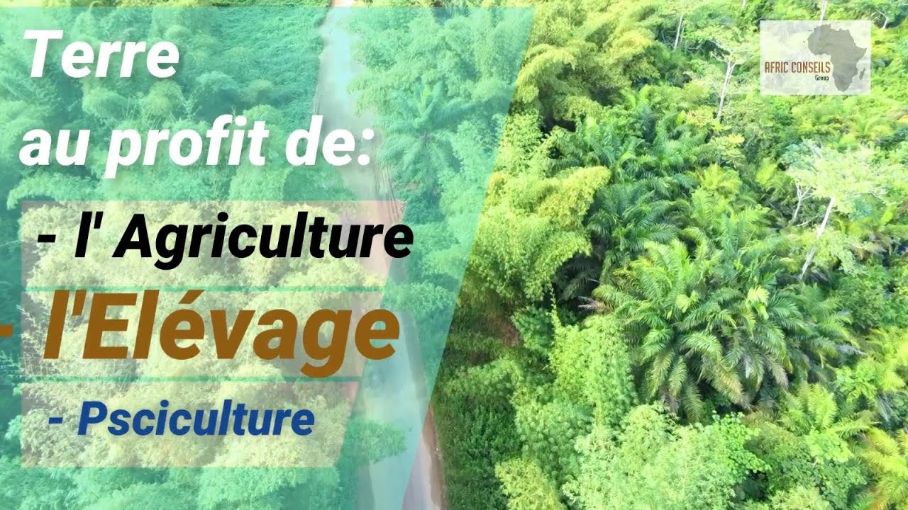 SITE DE TCHIKOUKOU. ..CONGO BRAZZAVILLE