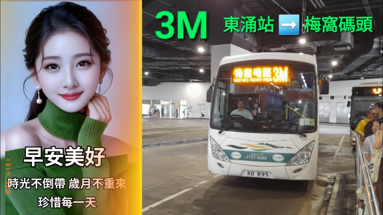 嶼巴 NLB MN106 RD895 @ 3M 東涌站 Tung Chung Station 》梅窩碼頭 Mui Wo Ferry 猛獅 A91