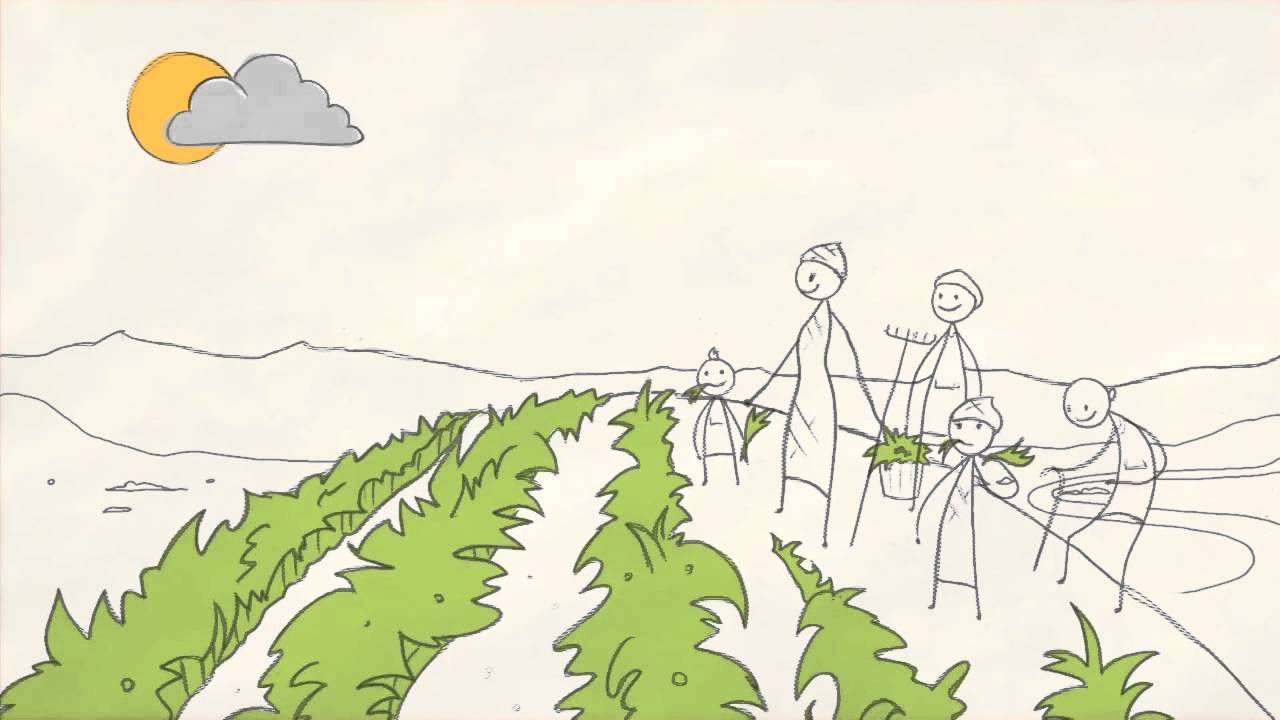 La Historia de Agricultura y la Economía Verde