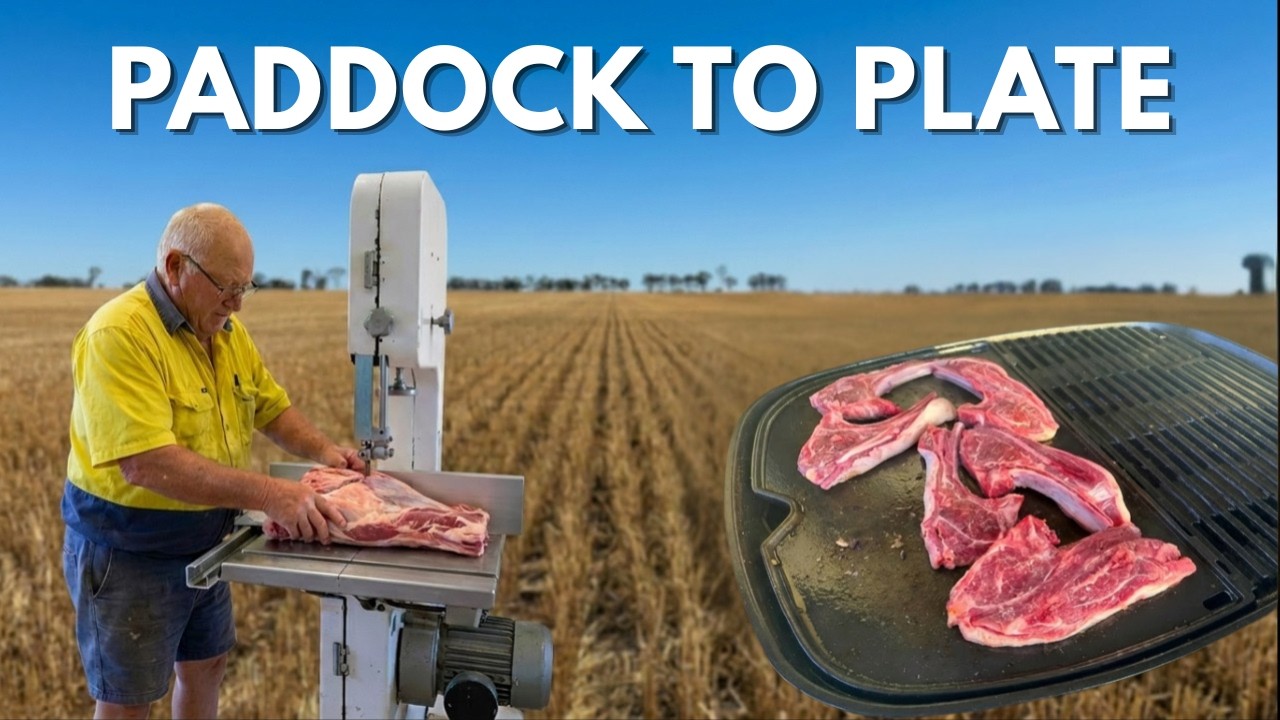 Life on a Remote Western Australia Family Farm | Paddock to Plate Lamb