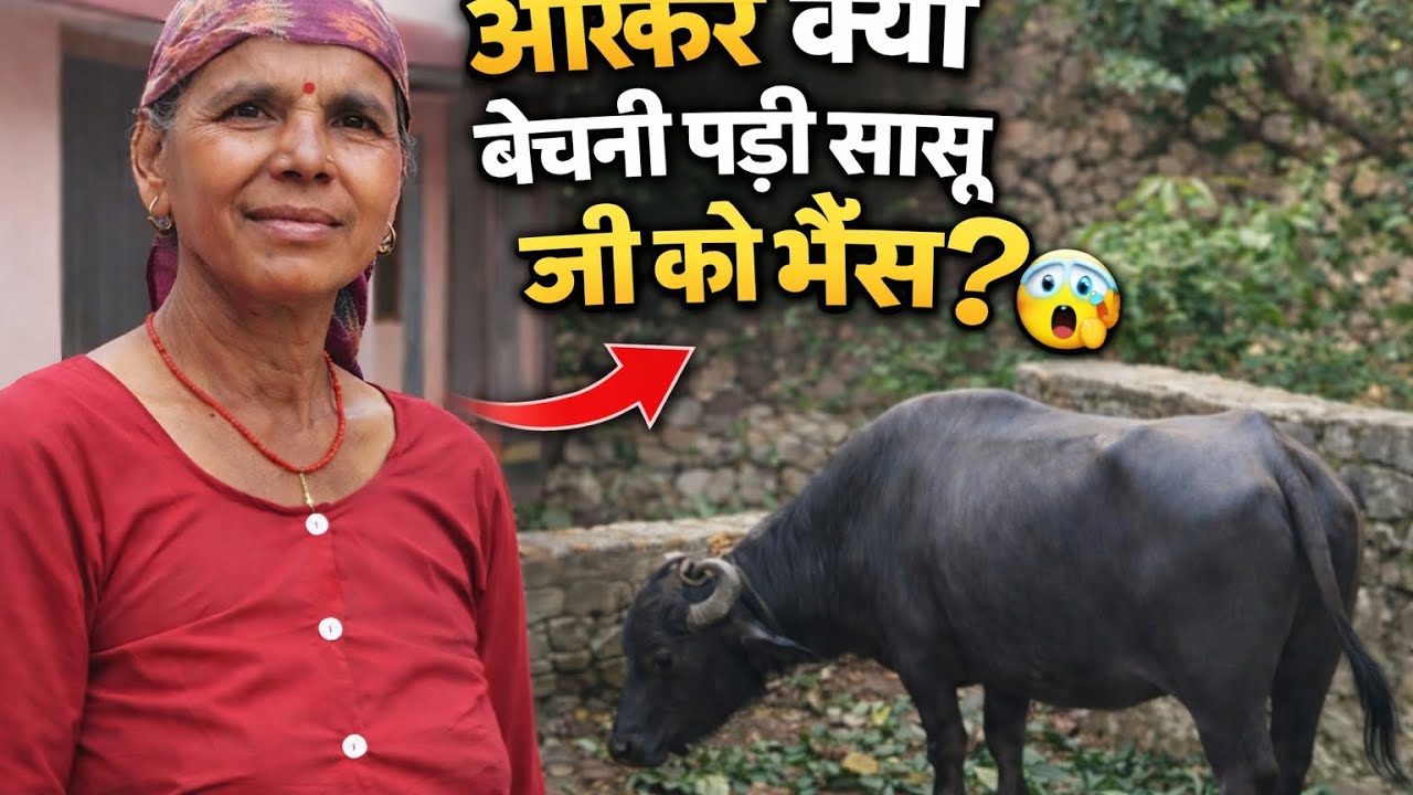 आखिर क्यों बेच दी अचानक से सासू जी ने भैंस 🥹#villagelife #familyvlog #villagevlog #dailyvlog