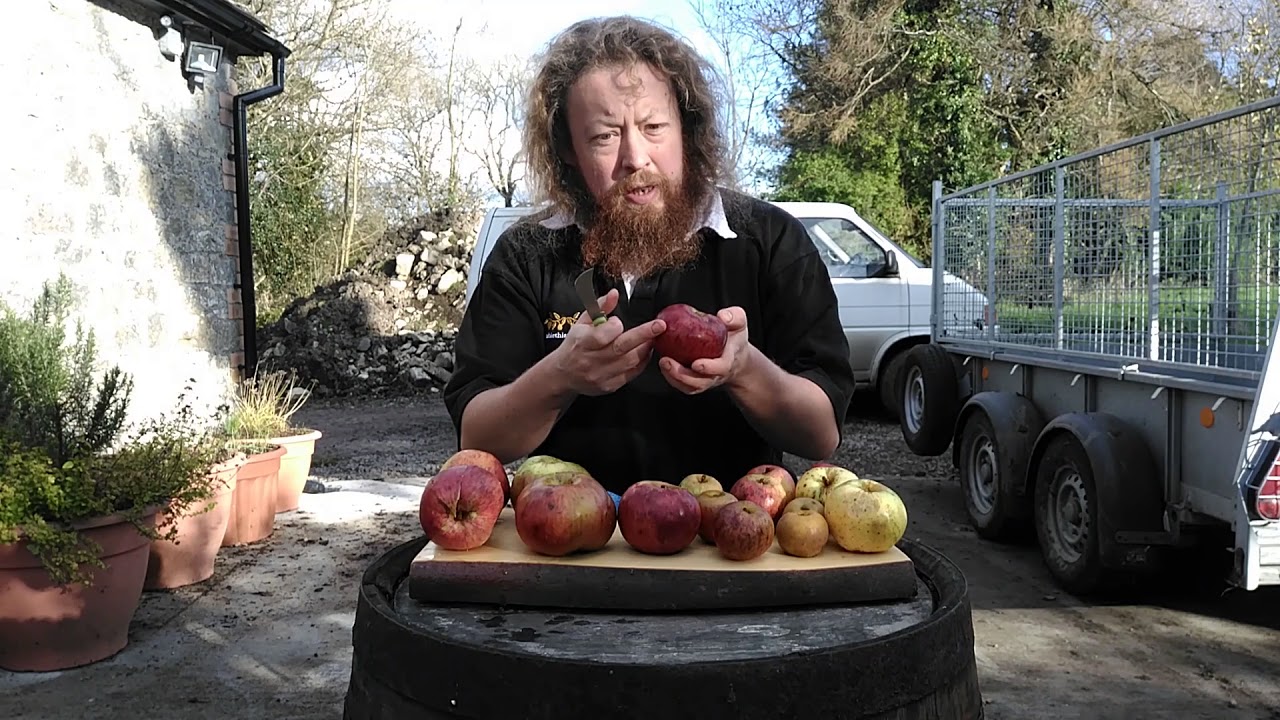 Late apple varieties from Llanblethian Orchard