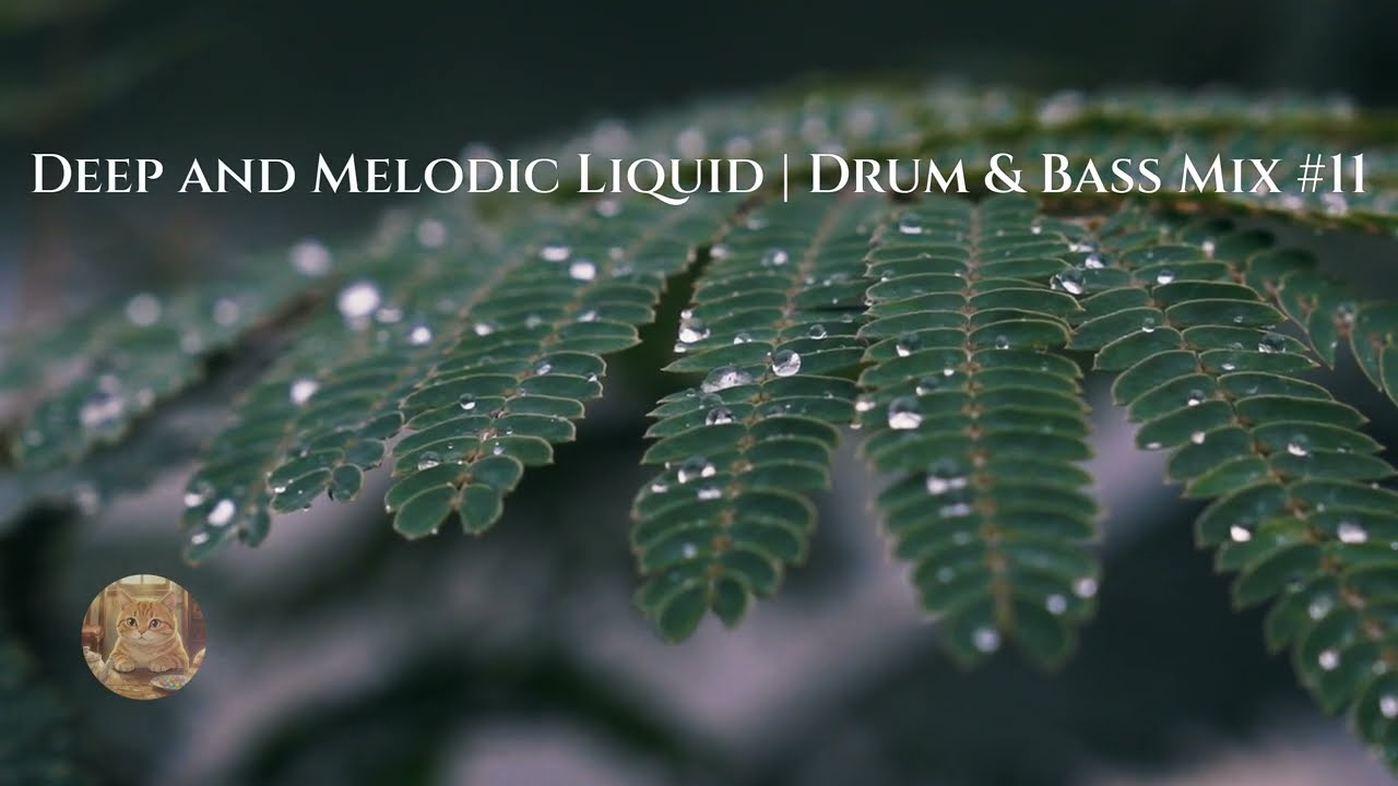 Deep and Melodic | Liquid Drum & Bass Mix #11