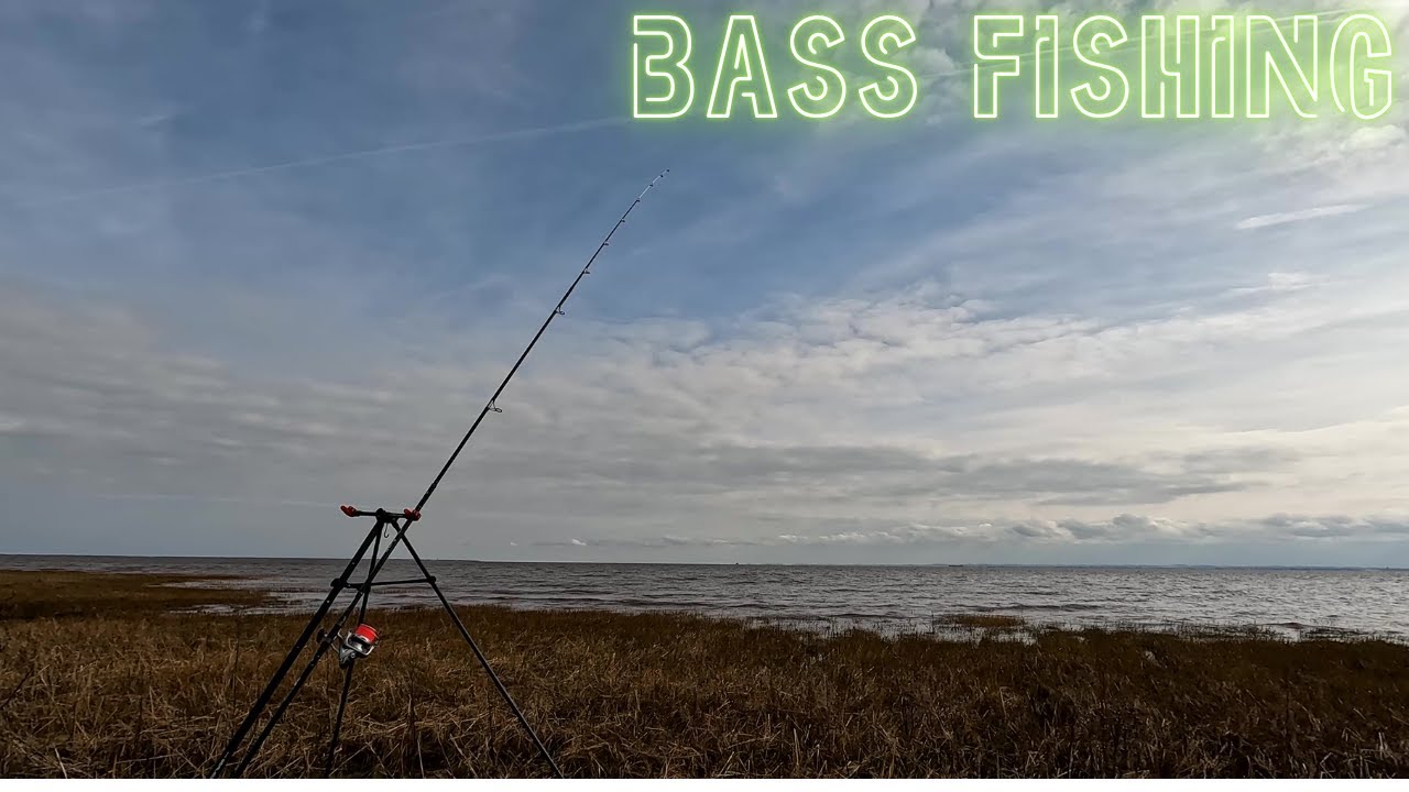 Fishing the Humber Estuary