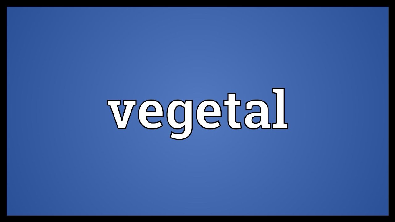 Vegetal Meaning