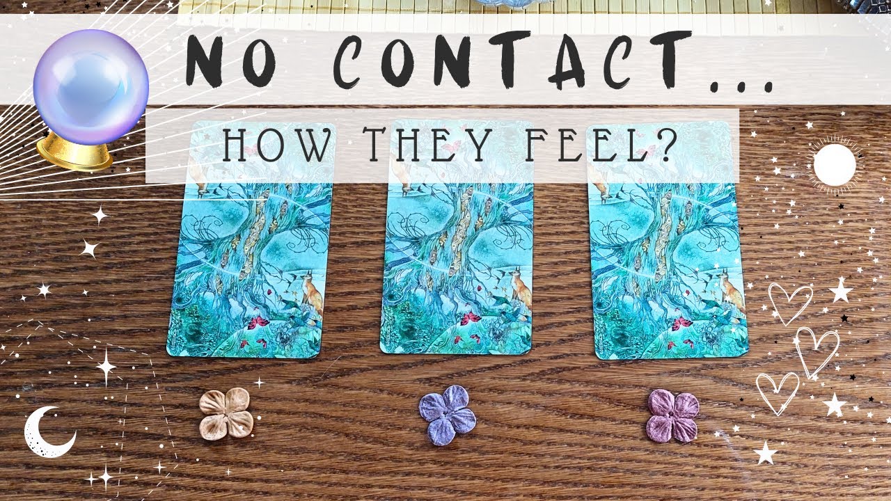 Minimal / No Contact: Their Thoughts and Feelings Revealed | Pick A Card Reading (Timeless)