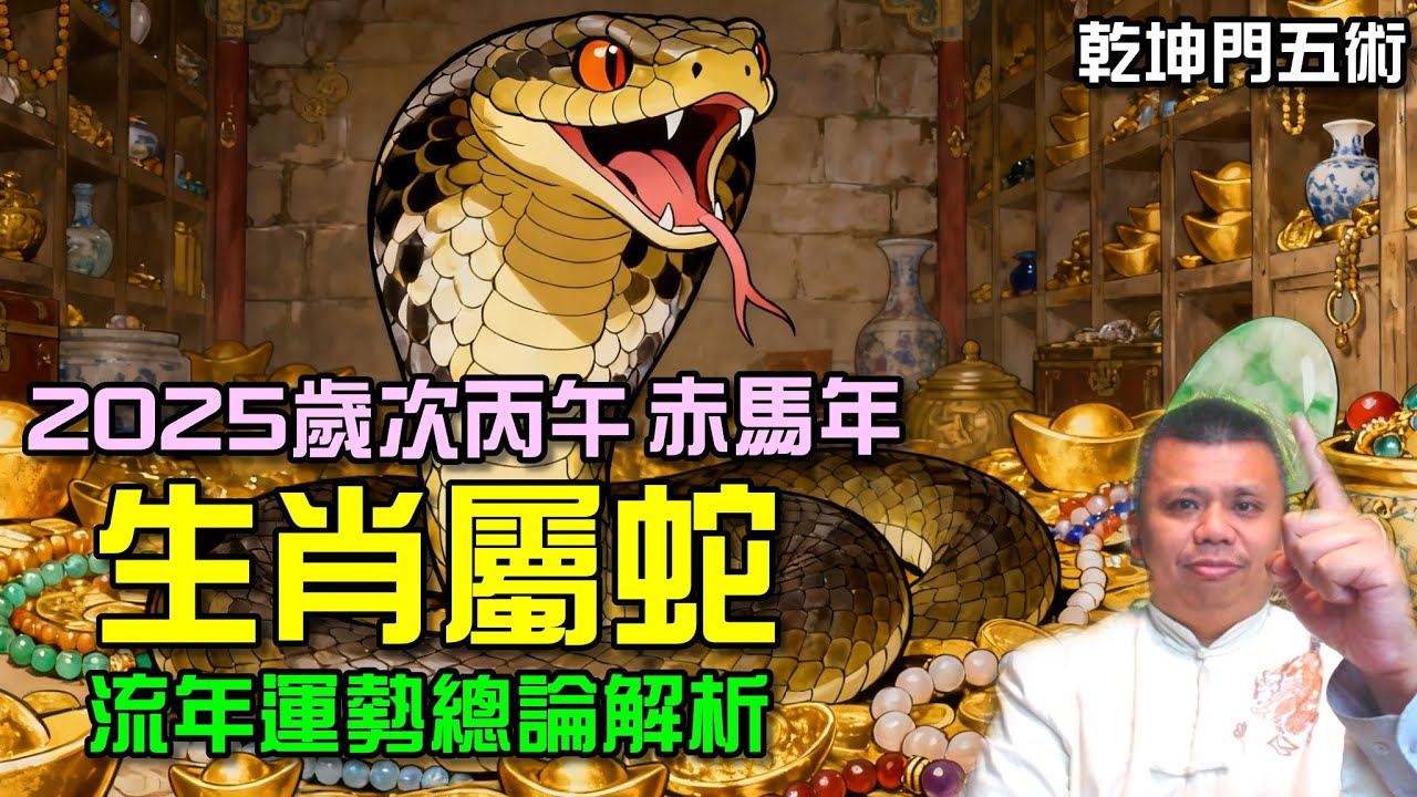 生肖屬蛇專屬!2026歲次丙午馬年流年總論解析