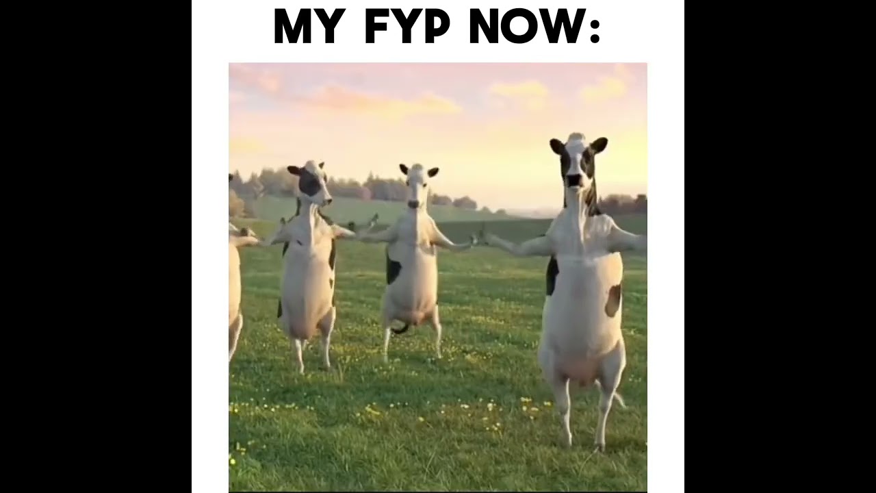 Wake up it&rsquo;s the first of the month #monthly #month #august #memes