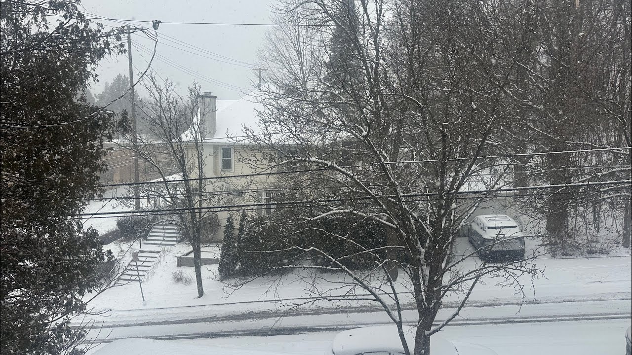(LIVE) Sleeping during a snowstorm ❄️☃️🌨️🤍💤