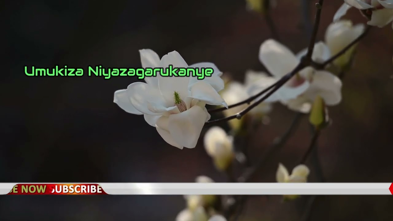 WOGEJWE NA YESU