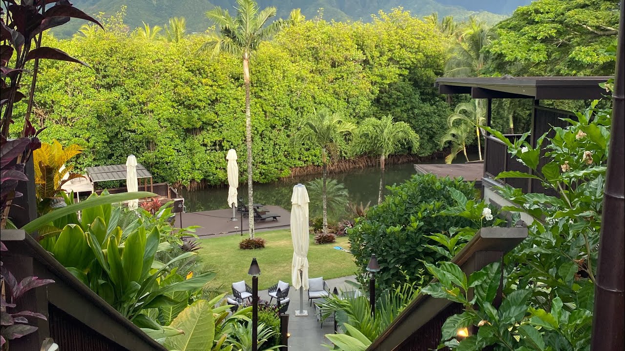 Paradise Bay Resort Oahu kids tour