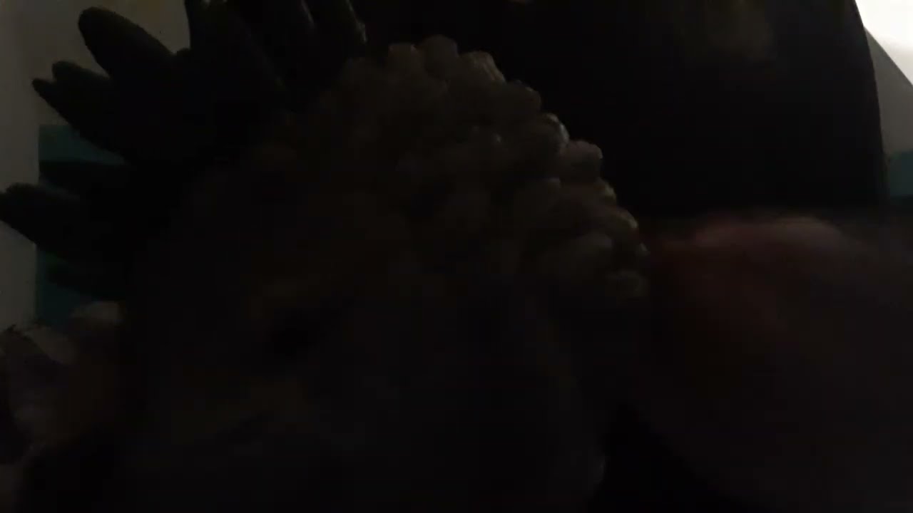 ASMR lofi random tapping, scratching no talking