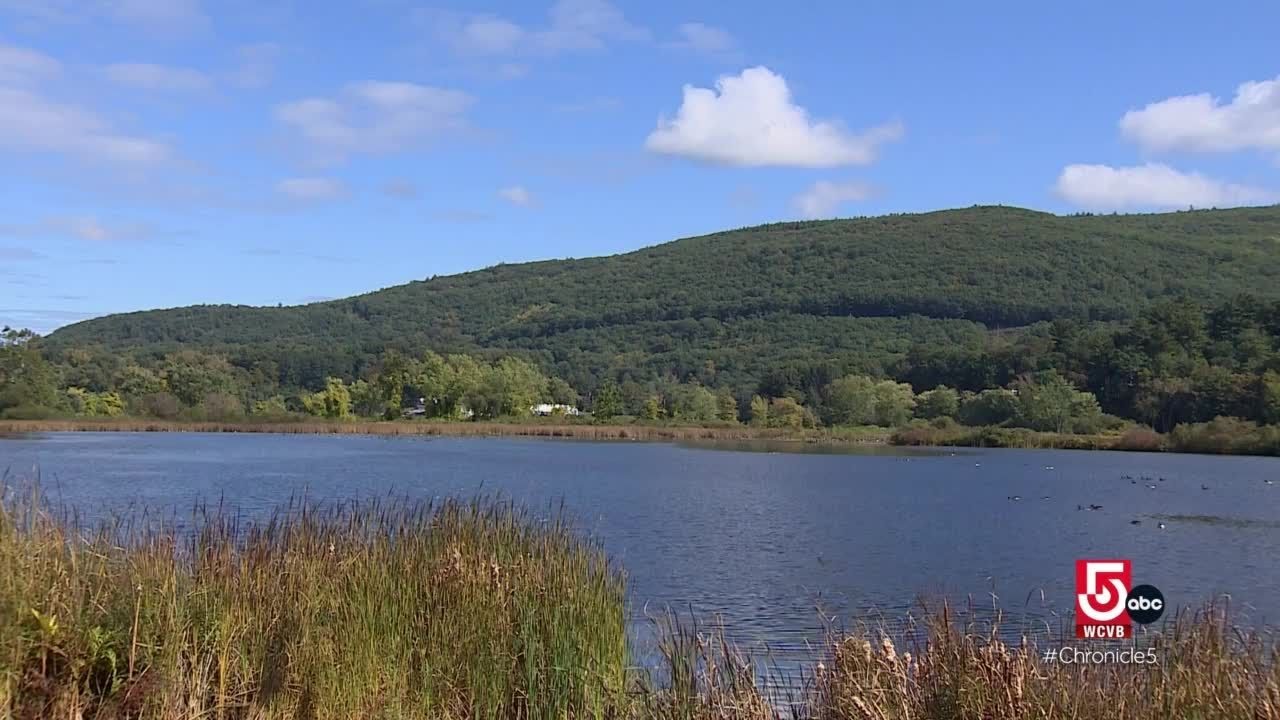 Downtown Brattleboro, Vermont, is home to small business owners, artisan creators and hundreds of...