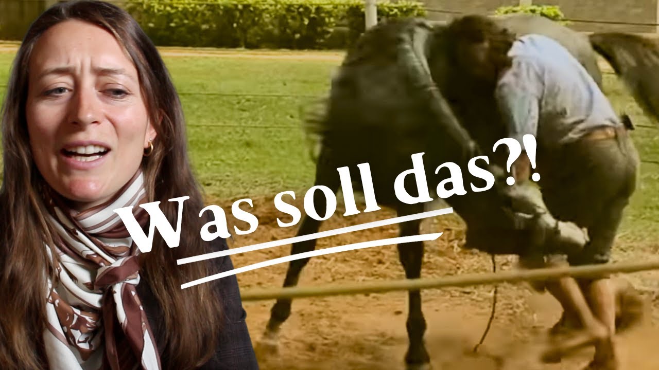 Selbsternannter Pferdeprofi blamiert sich! 😳 🤦🏽‍♀️