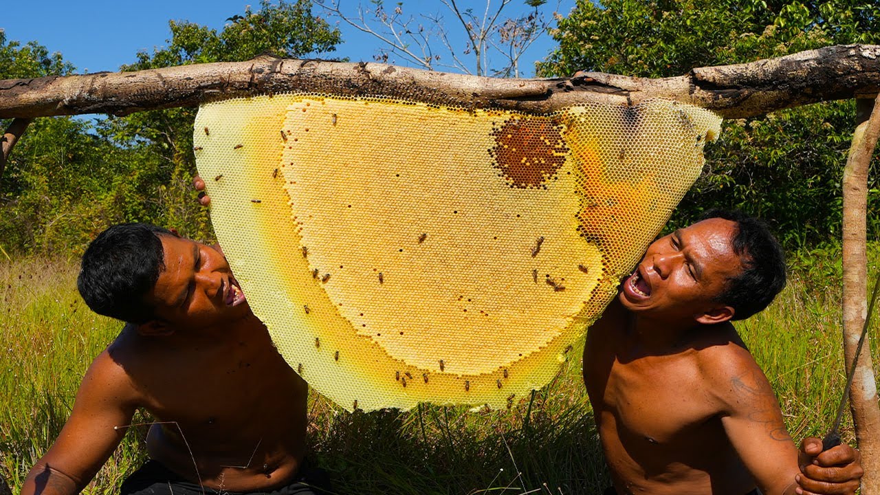 Primitive Technology: Millions Dollars Survival Skills Harvesting Honey Beehive By Two Brave Men