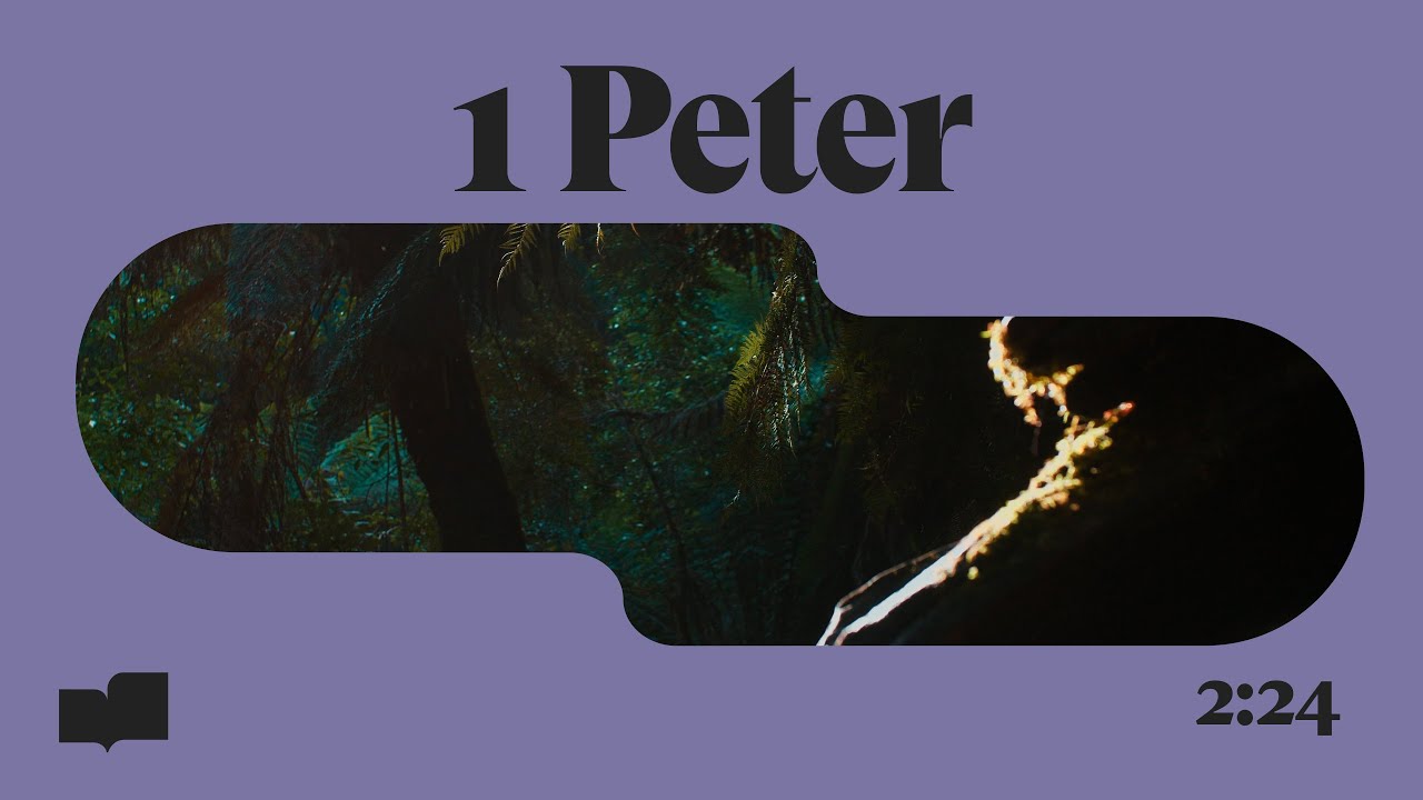 Verses - 1 Peter 2:24 (Official Lyric Video)