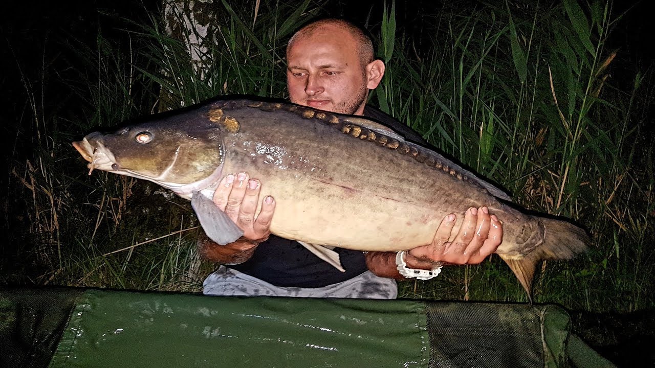 Na karpie...| hol karpia olbrzyma 18kg | zasiadka jednodniowa #carphunterspolska