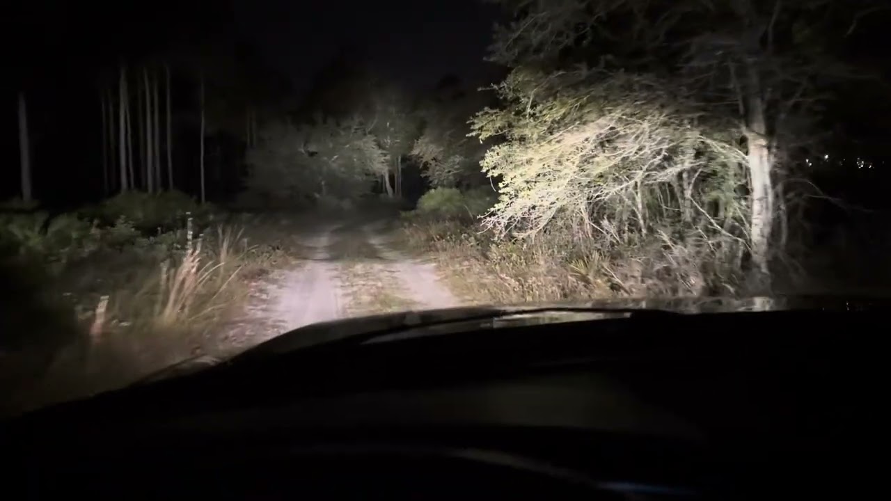 Welcome to base camp! 