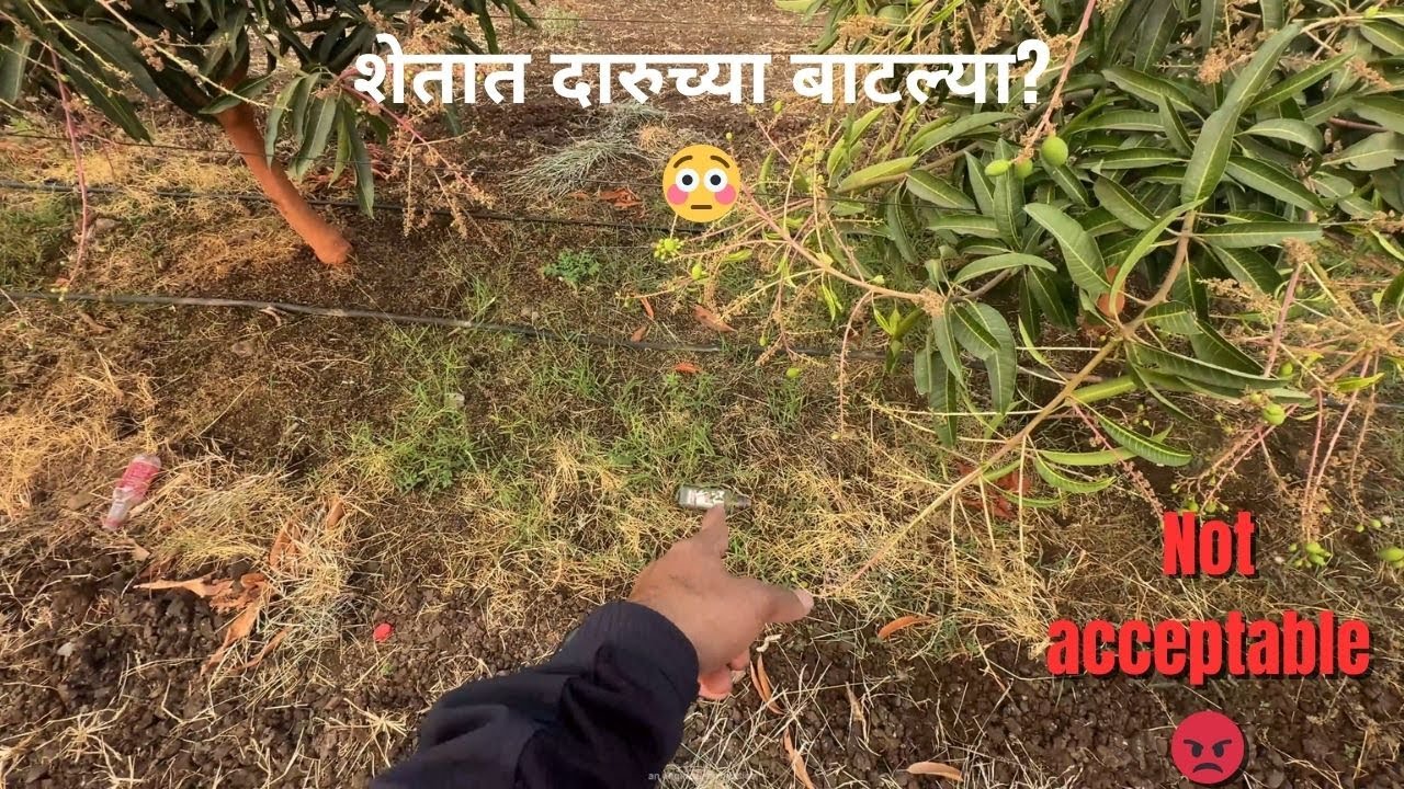 अरे देवा 😳 शेतात दारुच्या बाटल्या? | Didn’t expect THIS… 😳