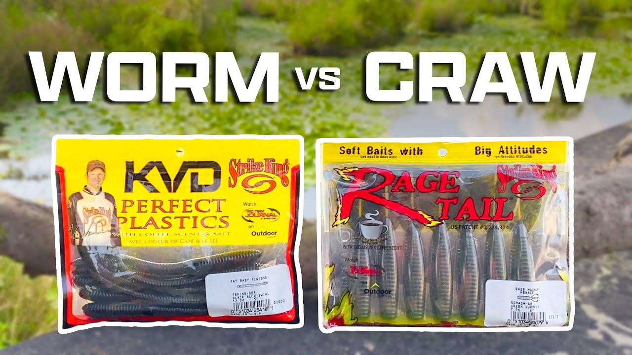 Fishing a WORM & CRAW (Which Bait's Catches MORE Bass?)