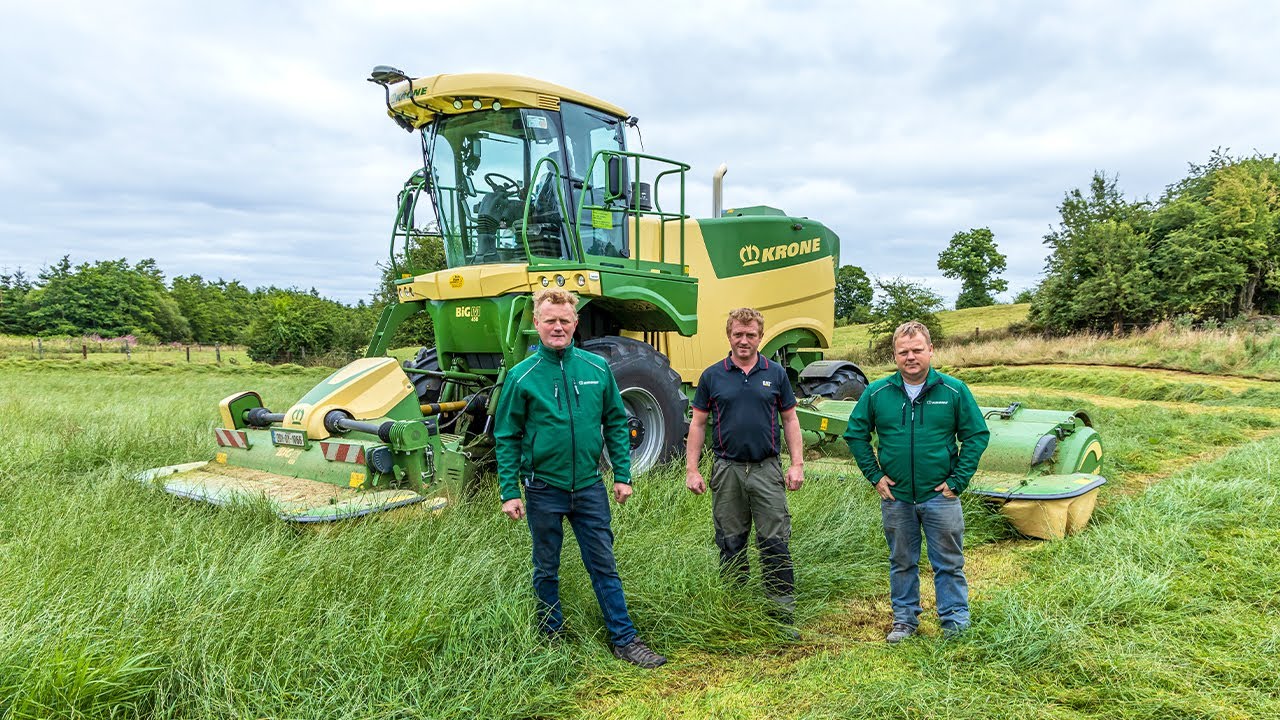 Компания Healion's BiG M Ireland