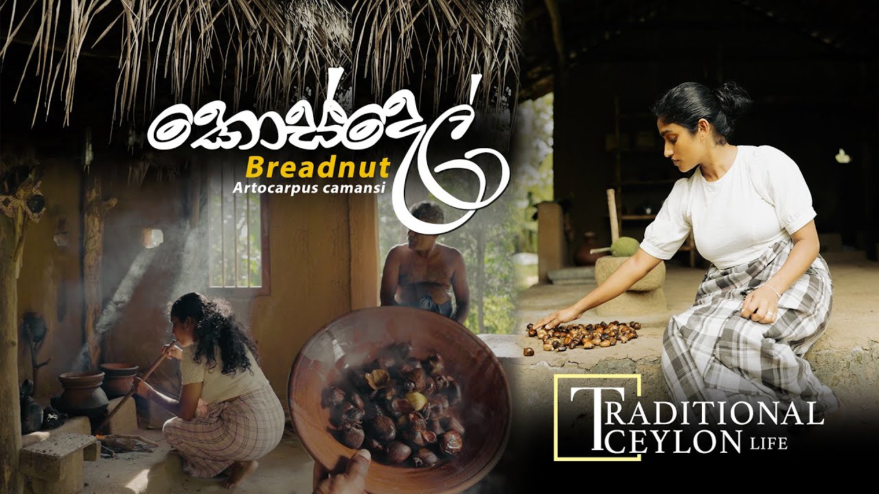 Breadnut කොස්දෙල් ( Kosdel) # පොලුත් එක්ක කොස්දෙල් ඇට තම්බලා කමුද