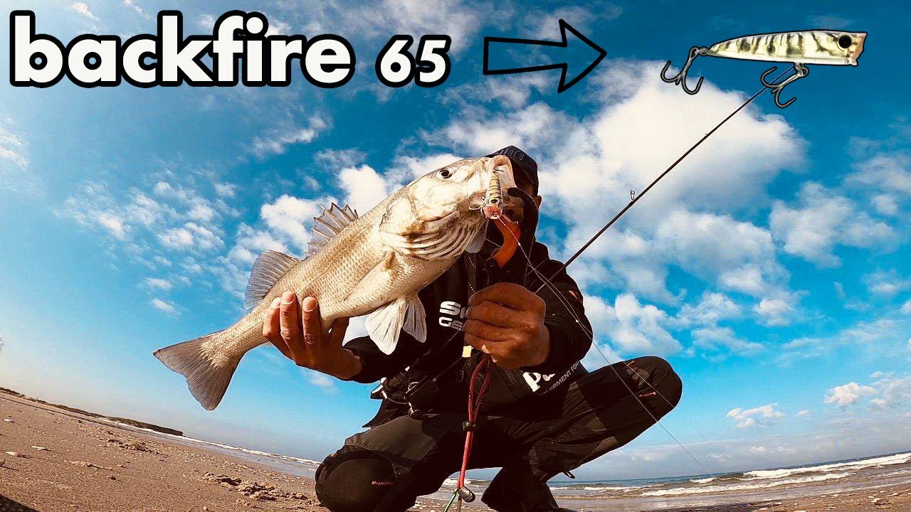 דיג לברקים בז'ירז'ור 2022 | לברק על פופר | bassday backfire 65