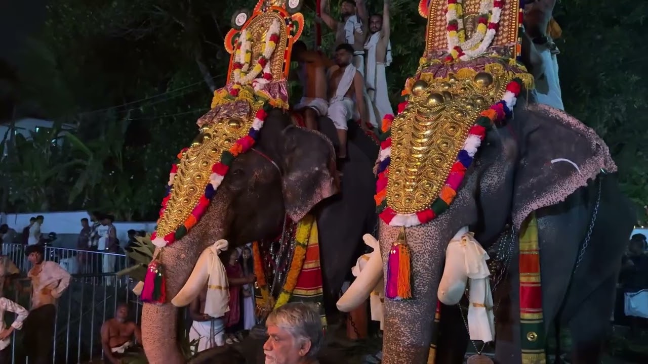 മറിയപള്ളി ഉത്സവം Thiruvanikkavu Rajagopal & Madhurapuram Kannan💕🥰