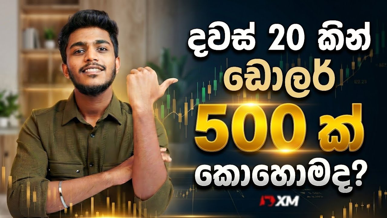 Xm trading sinhala | Monthly Profit Review xm trading sinhala | Xm sinhala 