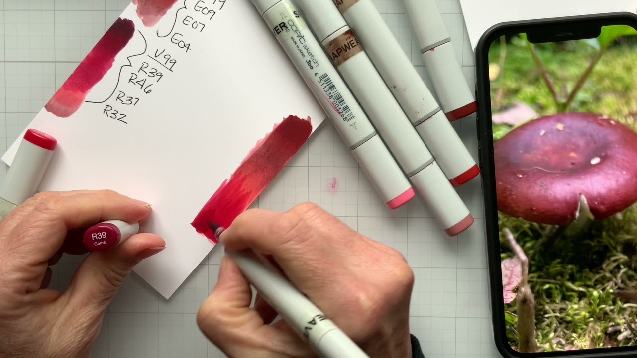 Finding Copic Color Combos #5