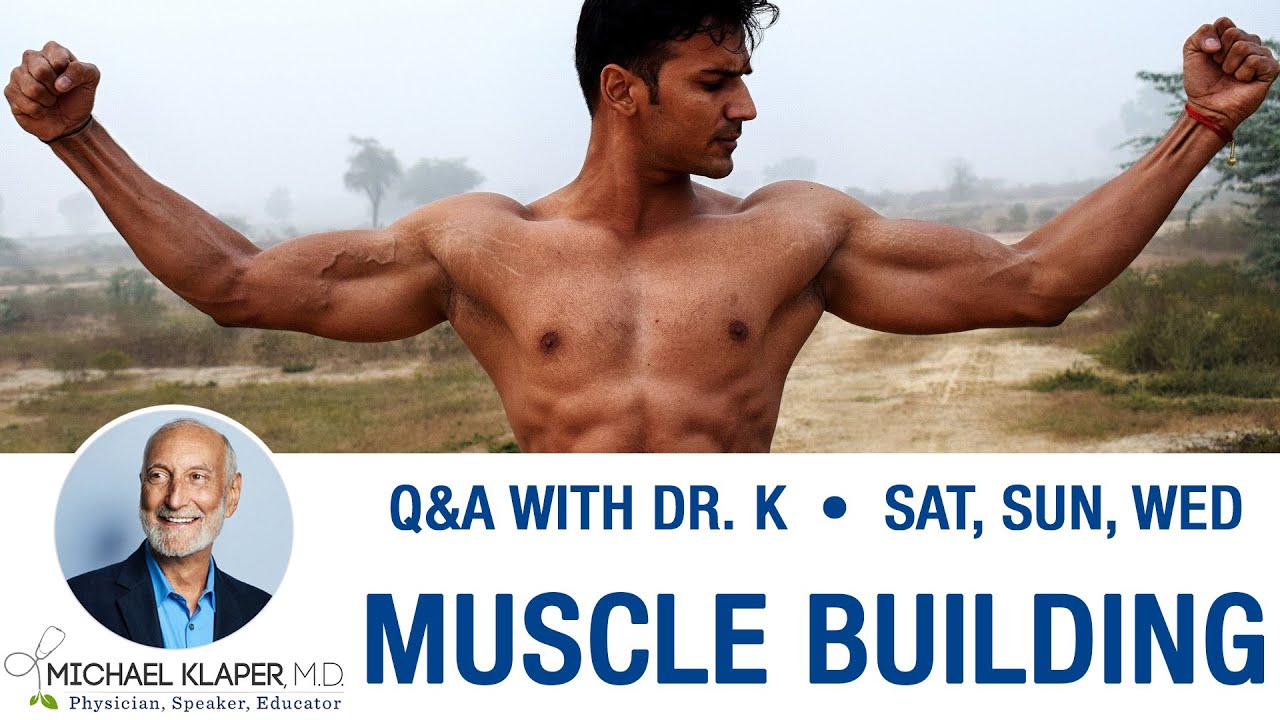 Muscle Building - Be Safe & Avoid Kidney Dangers On A High Protein Diet
