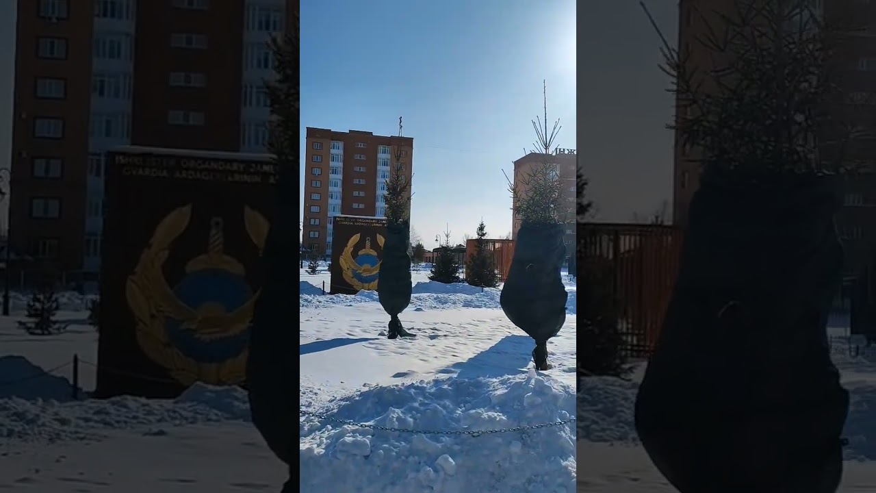 Кокшетау 🇰🇿 28 февраля 2026 г.