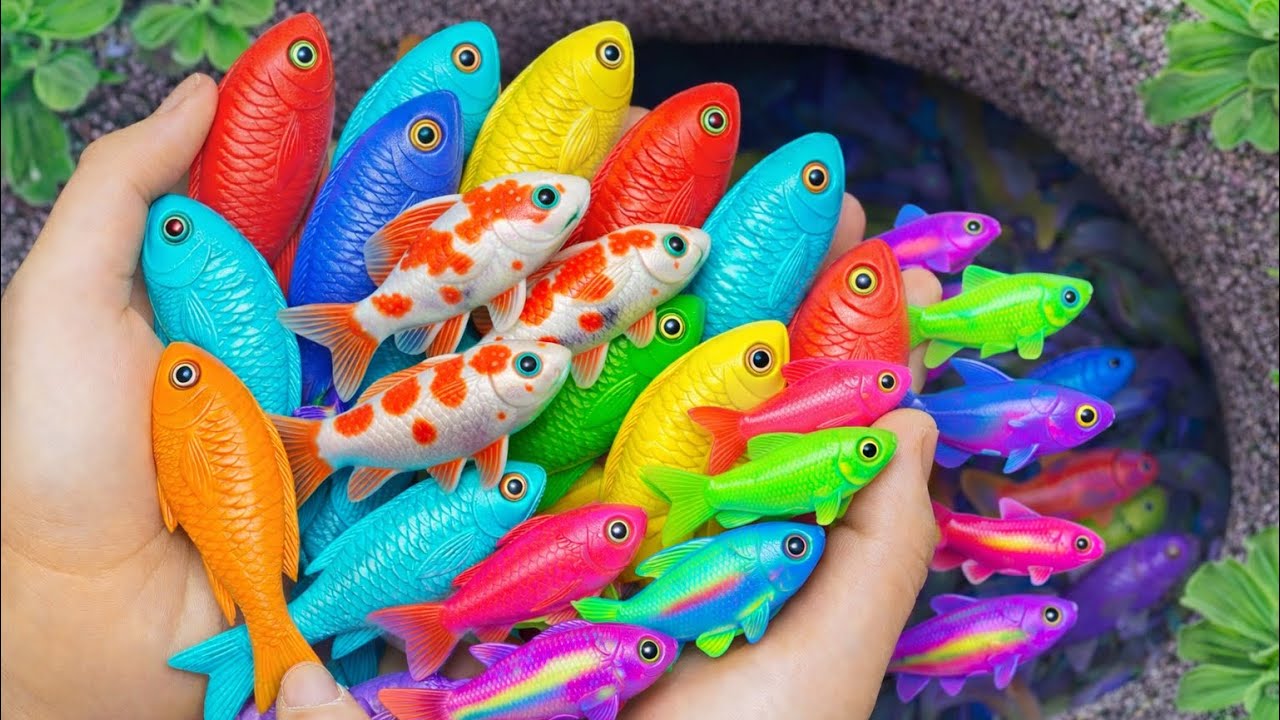 Akuarium Cantik Penuh Warna! Tangkap Ikan Hias Koi & Glofish 🌈