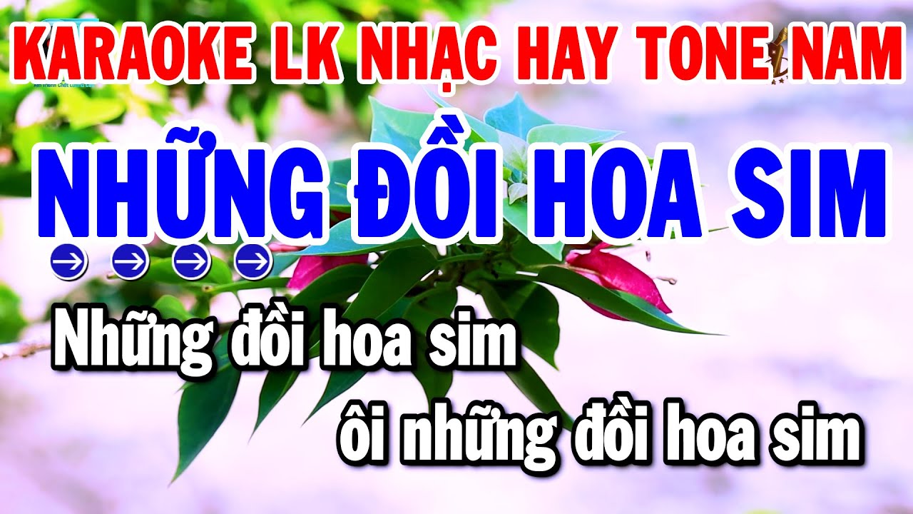 Karaoke Liên Khúc Tone Nam Nhạc Sống Dễ Hát Nhất 2026 | Những Đồi Hoa Sim - Cát Bụi Cuộc Đời