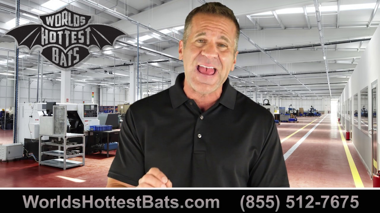 World's Hottest Bats Promo
