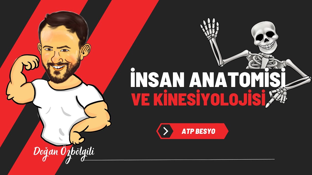 ANATOMİ 5 EPİTAL BAĞ KIKIRDAK DOKU