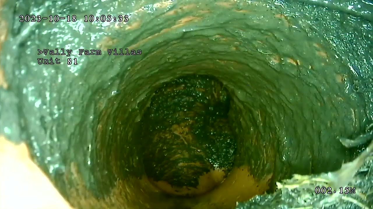 20231018 100454 1