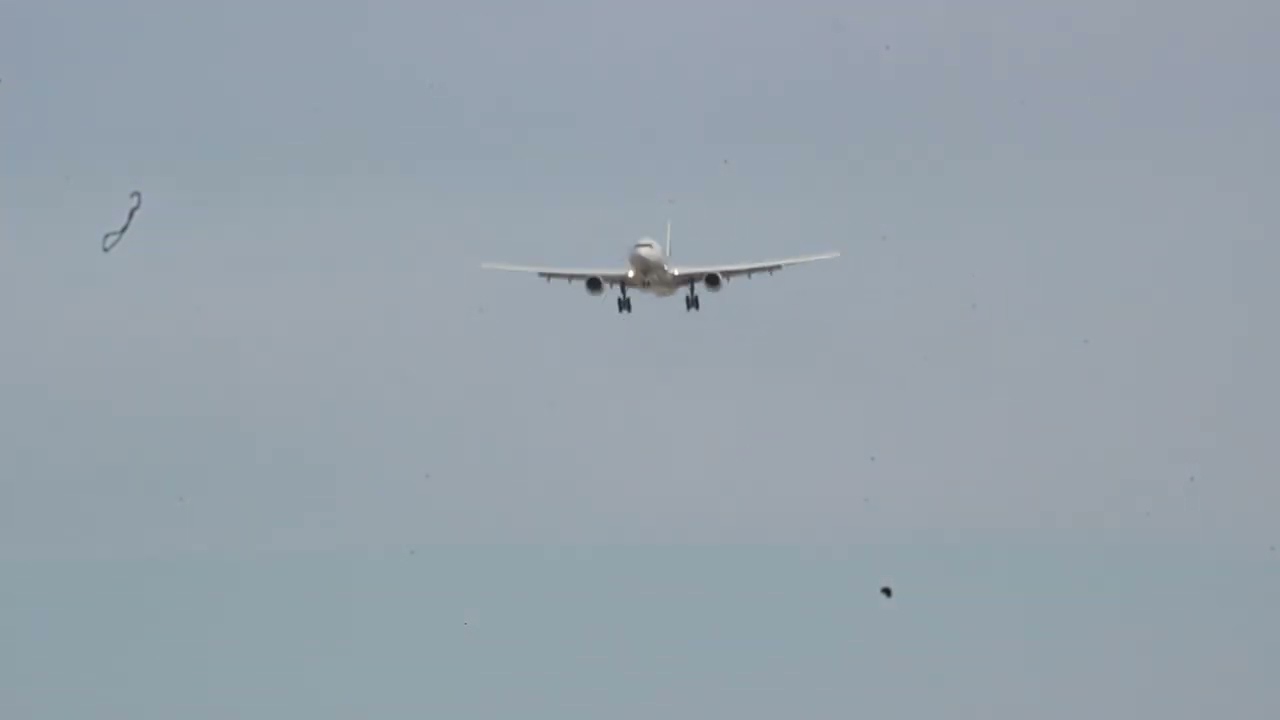 Discover Airlines Airbus A330-300 🇩🇪 FRA - LAS