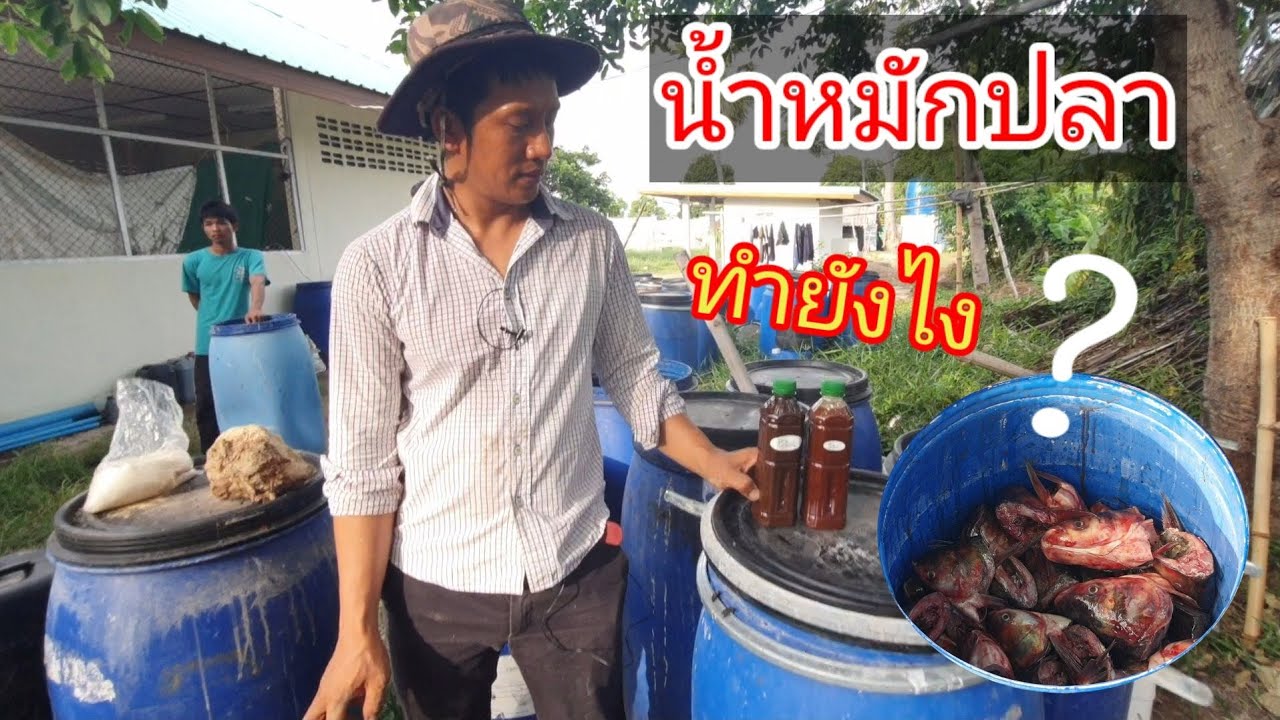 สอนทำน้ำหมักปลาแบบง่ายๆ
