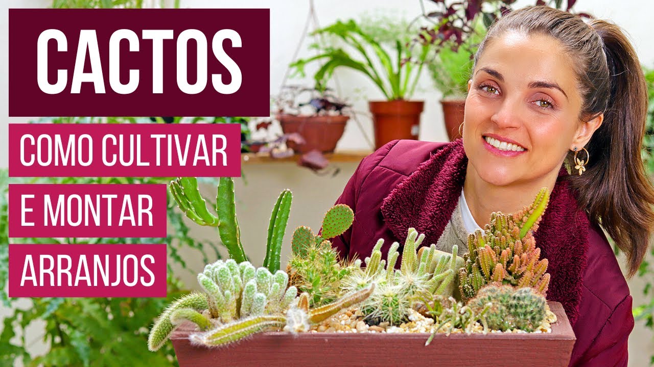 CACTOS 🌵 como CULTIVAR e FAZER um ARRANJO LINDO 💚
