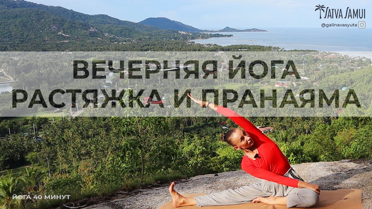ВЕЧЕРНЯЯ ЙОГА. РАСТЯЖКА И ПРАНАЯМА. 40 МИНУТ ДЛЯ РАССЛАБЛЕНИЯ И КРЕПКОГО СНА