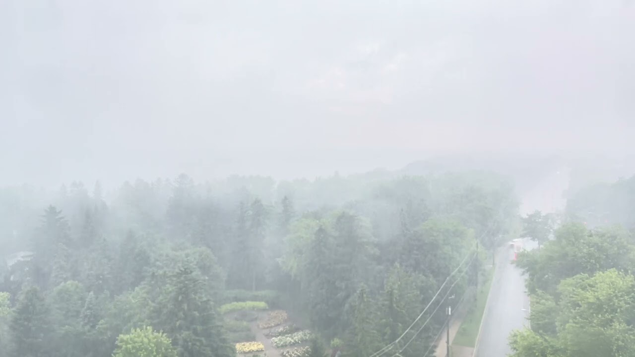 Soothing Rain Sounds for Relaxation and Sleep - Unedited Sound