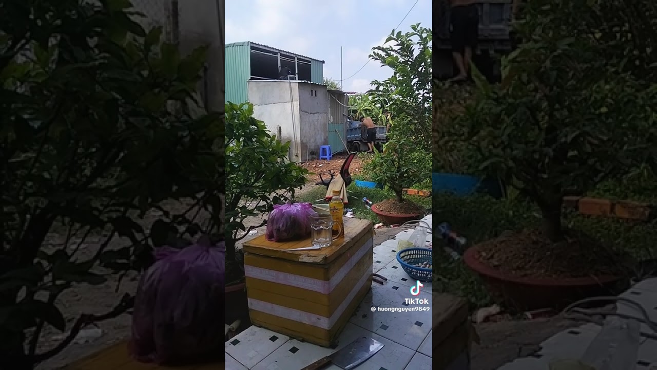 CÂU CHUYỆN NÀY CÓ THẬT KHÔNG VẬY MÀ NGHE SAO ÁC QUÁ @ÚT SINH TV