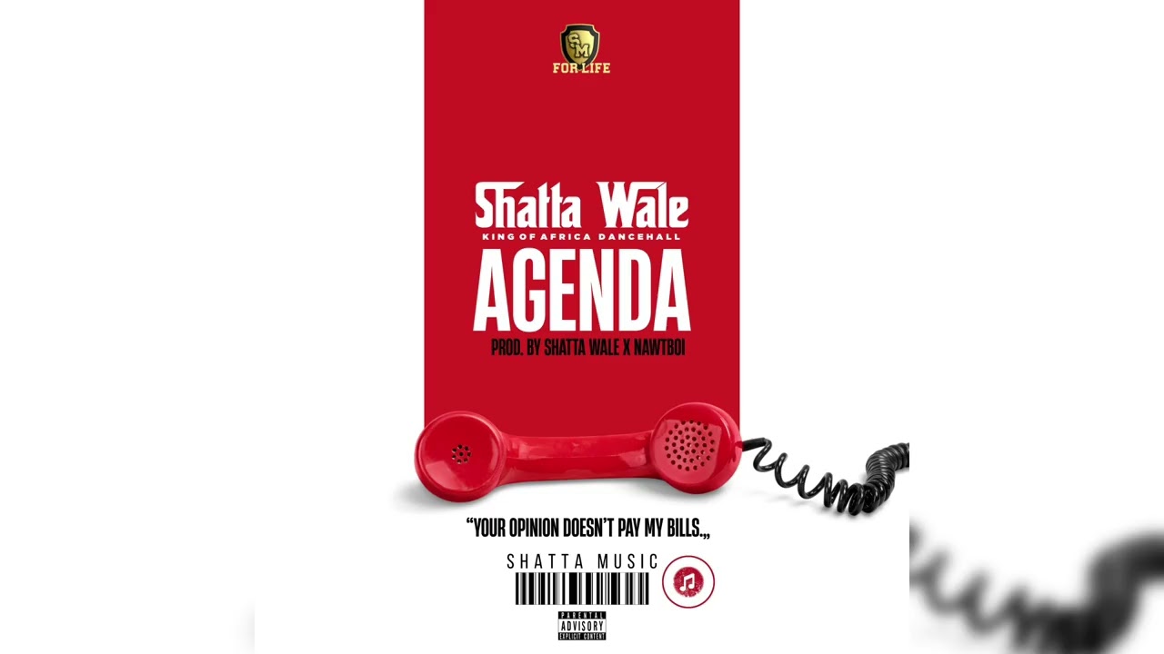 Shatta Wale - Agenda (Audio Slide)