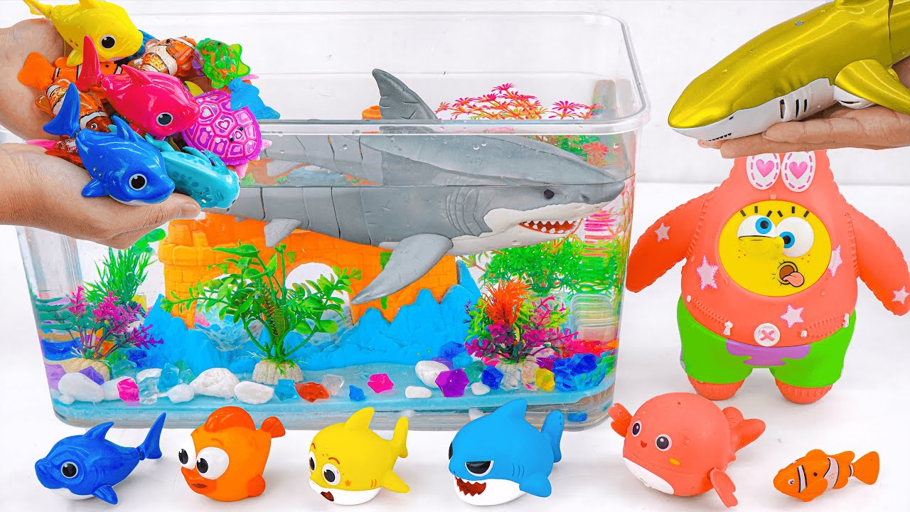 [Toy asmr] RC Shark & RC Whale & Duck & Zuru Alive Fish & Aquarium ASMR Satisfying with Unboxing
